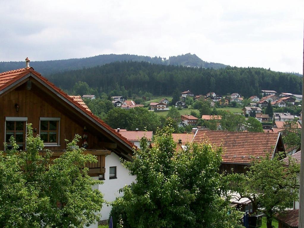 Ferienwohnungen Gstoettner Bodenmais Habitación foto